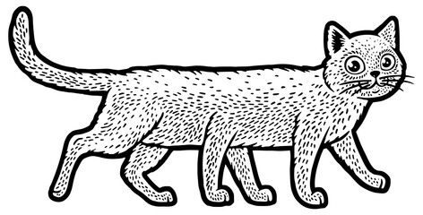 six legged cat sketch engraving PNG illustration. T-shirt apparel print design. Scratch board imitation. Black and white hand drawn image.