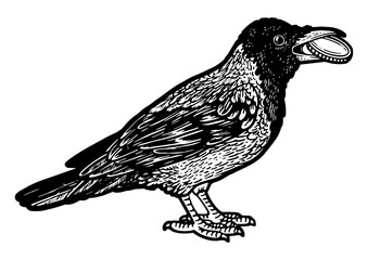 Crow with coin in its beak sketch engraving PNG illustration. T-shirt apparel print design. Scratch board imitation. Black and white hand drawn image.