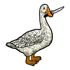 goose with knife in beak line art color sketch engraving PNG illustration. T-shirt apparel print design. Scratch board imitation. Black and white hand drawn image. © Oleksandr Pokusai