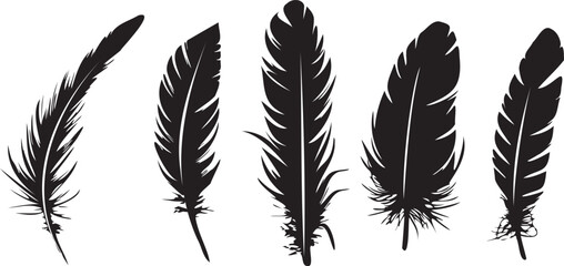 feathers silhouette set vector on white background  © Irfan Vector 