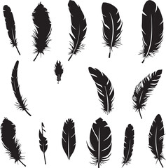 feathers silhouette set vector on white background	