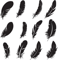 feathers silhouette set vector on white background	