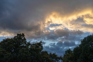 Fototapeta premium A dramatic sky with dark clouds and a hint of sunlight breaking through, above a silhouette of trees