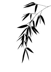 Obraz premium Black Bamboo leaves shadows and branches isolated background, featuring a natural and artistic design with an Asian flair, zen concept, hand draw.