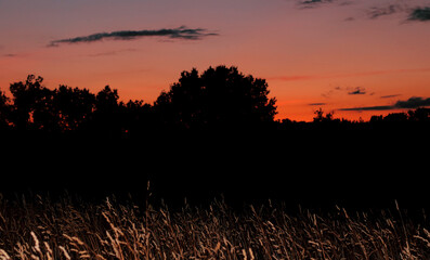 sunset in the field