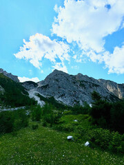 Fototapeta premium Alpen, Berge, Berggipfel - Schweiz, Österreich, Deutschland