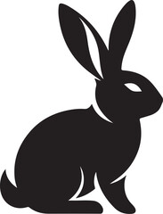 black and white rabbit
