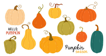 Set of pumpkin stickers on a white background.Autumn, fall, thanksgiving and halloween decoration. Cute pumpkins vector set