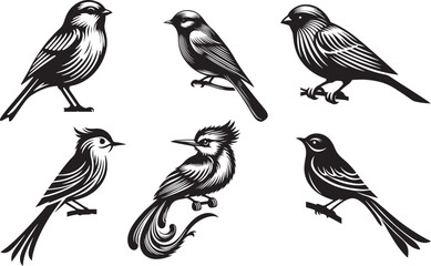 set of birds vector and illastraction