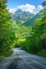 Fototapeta premium Country road through lush forest, mountains backdrop Sunny day, inviting exploration nature's beauty