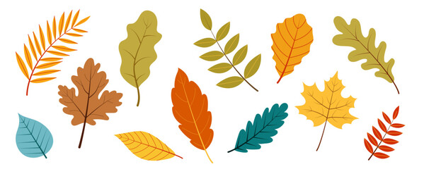 Set of autumn leaves of different colors and shapes. Vector illustration on a white background. Diary stickers