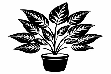 Flower in pot solid icon plant and decor element vector