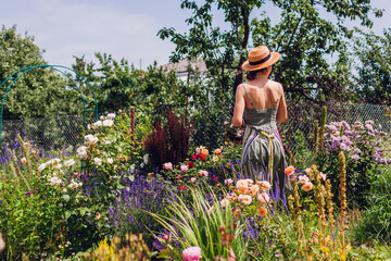Woman gardener walking around her summer garden admiring roses flowers.