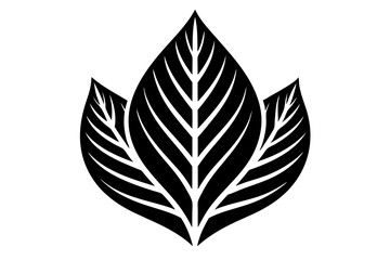 Leaf Illustration Vector Illustration Black and White vector