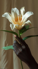 White lily close-up in hand of african person, dark skin against beige background, floral minimalism