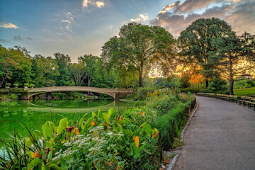 Bow bridge i early summer