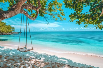 A beach with a swing hanging from a tree. The beach is calm and peaceful