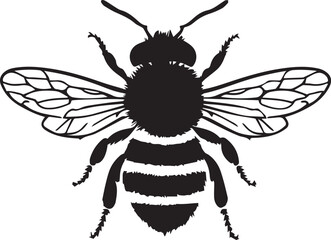Bee silhouette black vector flat illustration. Honey Bee icon, honey bee silhouette on white background.  black and white, silhouette bee collection. Vector illustration for drawing.