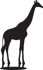 Giraffe silhouettes on white background. Giraffe vector illustrations. Giraffe silhouette. Giraffe black icon on white background.