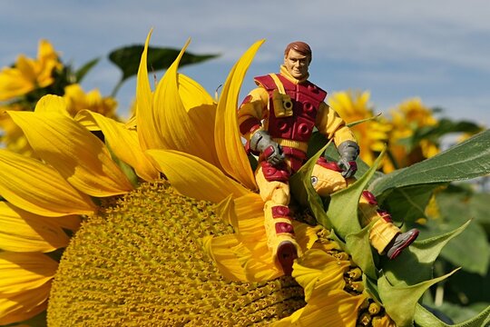 GI JOE Hasbro action figure of fireman and flamethrower soldier in fireproof suit nicknamed Blowtorch, series 2011, sitting on top of blossoming sunflower, partially cloudy skies in background.