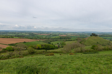 Fototapeta premium Landscape photo of Colmers hill in Dorset