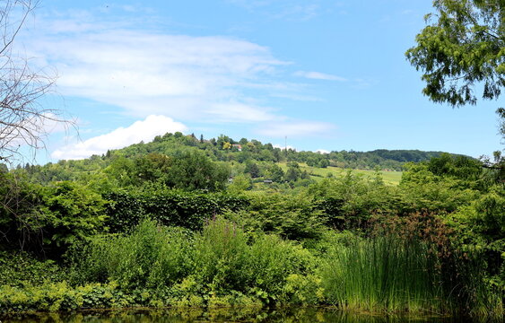 Fr&uuml;hlingslandschaft in Riehen bei Basel