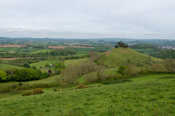 Obraz premium Landscape photo of Colmers hill in Dorset