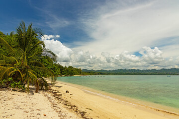 sand beach in the Cahuita National Park in Costa Rica