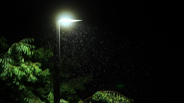 Lighting pole in the night