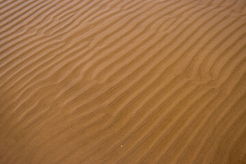 Seamless wet sand with sea water on a whole background. Empty wavy sandy sea bottom. Exotic Sandy Ocean beach surface. Top view. Simple, minimalistic photo. Ideal concept for banner, poster, ads.