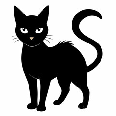  halloween pumpkin head, black cat ,cat cartoon,halloween castle with bats,jack o lantern,