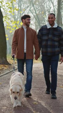 Two smiling gays holding hands and walking in park with dog during romantic date
