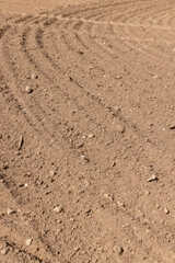 furrows in the field after tillage during sowing