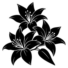 black and white lilies vector silhouette design 