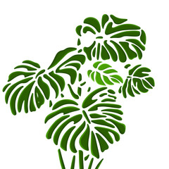 A flat design illustration of a of fresh green monstera leaves on a  background. The leaves are shown