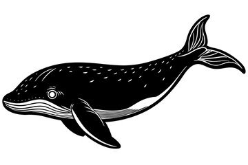 marine fish  silhouette vector illustration 