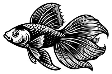 marine fish  silhouette vector illustration 