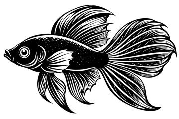 marine fish  silhouette vector illustration 