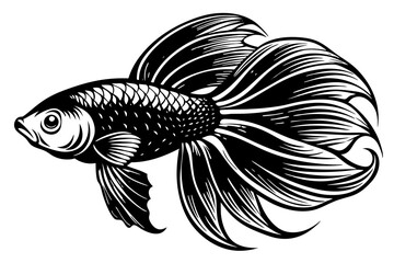 marine fish  silhouette vector illustration 
