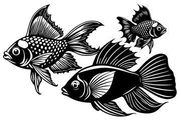  betta-queen-angelfish-queen-snapper silhouette vector illustration 