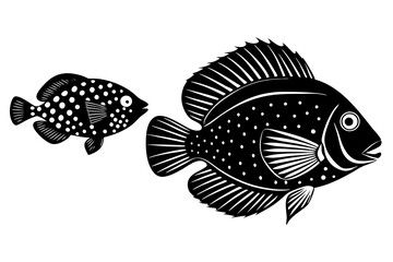 jewel cichlid johndory silhouette vector illustration 