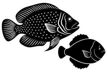 jewel cichlid johndory silhouette vector illustration 