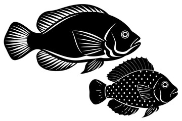 jewel cichlid johndory silhouette vector illustration 