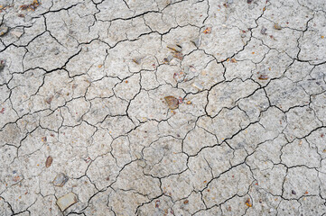 Cracked Dry Soil In A Field During The Day