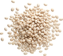 LAYER-LAB_1012208987_LC