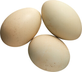 LAYER-LAB_2604194822_LC