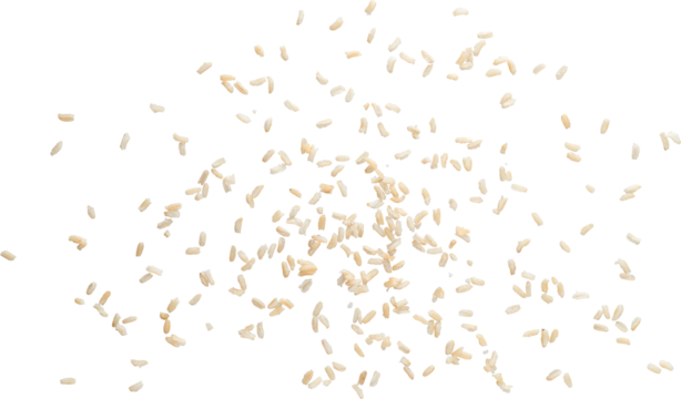 LAYER-LAB_2106198595_LC