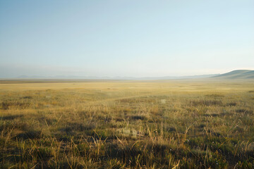 Flat plains with minimal vegetation and a focus on texture and color gradients. Perfect for nature-themed projects with ample copy space.