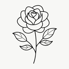 Elegant Line Art Drawings of Flower Blooms Botanical Sketches Revealed