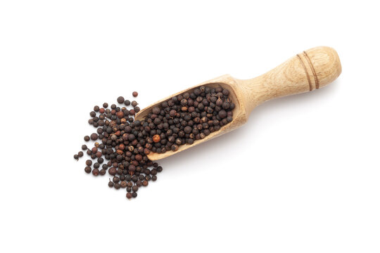 Top view of a wooden scoop filled with Organic False Black Pepper (Embelia ribes) or Baibadang. Isolated on a white background.
